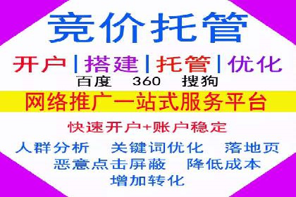 行业标杆：SEM推广代运营成功案例